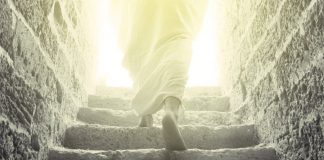 AI vs. God: Who Stays and Who Leaves?