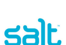 Salt Women in Tech Interview