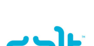 Salt Women in Tech Interview