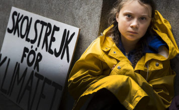 Who Stands Behind Greta and Why It Matters