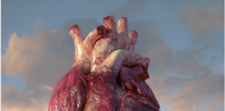 History Matters. But Winning Matters More