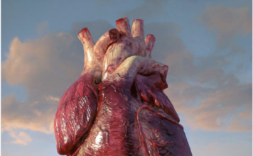 History Matters. But Winning Matters More