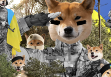 Who Is Framing NAFO?